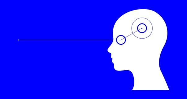 Schematische Grafik eines Kopfes im Profil mit eingezeichnetem Blickverlauf; veranschaulicht den Sehvorgang des Auges.