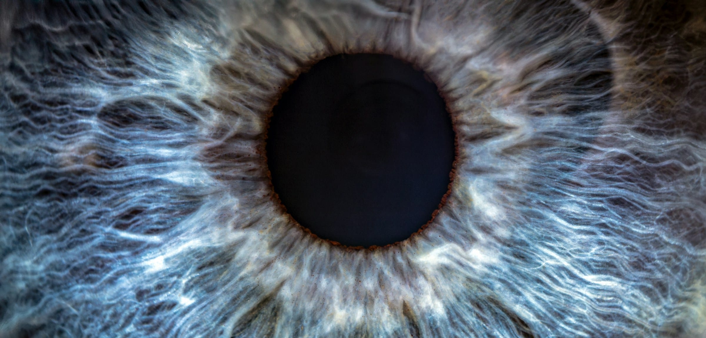 Symbolfoto im Kontext der Augenheilkunde; ästhetische Darstellung von Auge, Untersuchung oder Sehen als Motiv, symbolische Variante. mit.