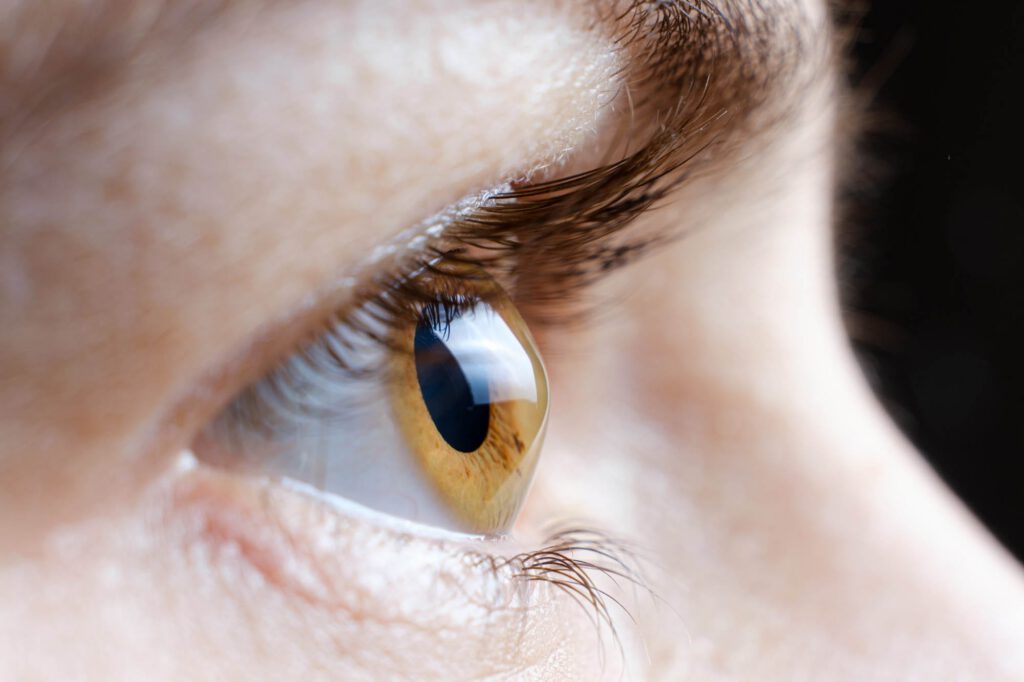 Symbolfoto im Kontext der Augenheilkunde; ästhetische Darstellung von Auge, Untersuchung oder Sehen als Motiv, symbolische Variante. Leic.